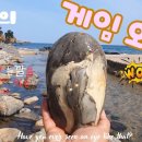 동해-단속-09 Daum카페