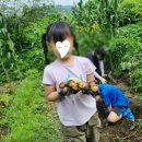 덕산농장2 이미지