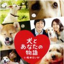 MY DOG(마이도그) 이미지