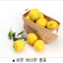 레몬 이미지