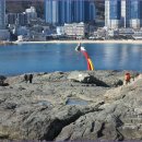 송도용궁구름다리 이미지