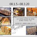 벌꿀집 이미지