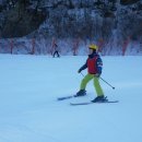 대마초등학교 이미지