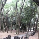 제주 삼성혈 이미지