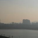 이서메디칼