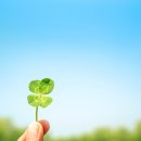 캠퍼트리 스토어 이미지