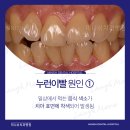 미니쉬치과병원 이미지