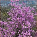 시민약수터 | [용인 등산] 도심 속 힐링 코스, 석성산 방문 후기