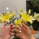 나트랑 여행 일정 &amp; 택시비 (2일차) : 포한푹 포나가르사원 담시장 온시스파 카사스파네일 후기 해피비치