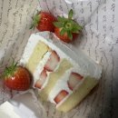 만연로+충의로 | 26.02 설연휴