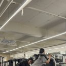 리라핏 거모점 이미지