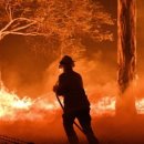 (LW-사건/사고/법률) Australia to Pay ‘Whatever it Takes’ to Recover from Wildfires 이미지