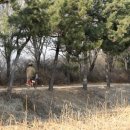 강변자전거길 1 이미지