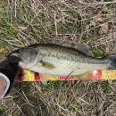 청도천6 이미지