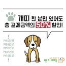 강남역 놀거리- 반지대학 강남캠퍼스에서 데이트하며 커플링 만들기. 이미지