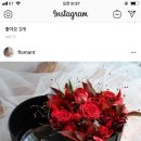 플로망 이미지