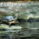 아름숲 이비인후과의원 이미지