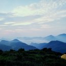 산곳천 Daum카페