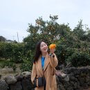 더스마일 이미지