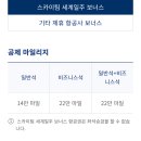 스카이팀 이미지