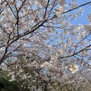 수원-1167 이미지