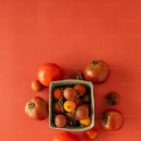 올데이올가닉 이미지