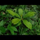 250911(목) YG엔터테인먼트의 집씨통 참여를 환영합니다 이미지