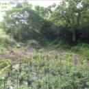 서리골천 이미지