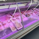 한우직판장 앞 | 홍천정육점 다드림 축산물 도/소매 직판장 한우 구매 후기