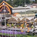 금산천 데크길 이미지