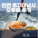 하나유선(하나호) | 인천 쭈꾸미낚시 오후배 탑승 후기 11월 쭈꾸미 후기