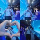 산성대로269번길 | 8월 일상(3)- 아쿠아리움 데이트 🐠🌸