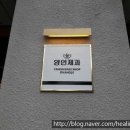 양인디자인 네이버블로그