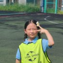 아이캔 하이 태권도장 이미지