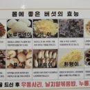 하윤식당 버섯전골