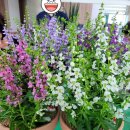 청하면보건지소 이미지