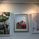 사이동행정복지센터 이미지