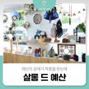 살롱드예산