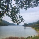 대한인사행정사 이미지