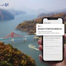 주정차단속-58 이미지