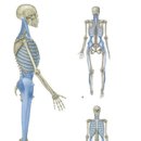 클린짐 휘트니스 이미지