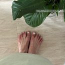 퇴근후애 | 일산네일샵 퇴근후애 후기 : 여름 젤페디 가성비 좋은 곳