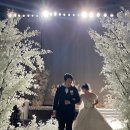 주간 일기 : 트랜스포머 N차, 로봇 드림 오리지널 티켓 오픈런 후기