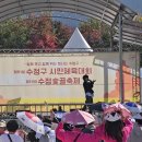 성남 수정 숮골축제영상 이미지