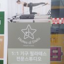 디스텔라 | 덕양구필라테스 필라테스 디 스텔라 지축필라테스개인레슨 솔직후기