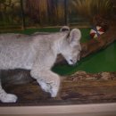 청계천카랜드 이미지