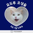 도도동물병원 네이버블로그