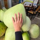 원풍식당 | [공지] [태안 낙지 맛집] 허영만 백반기행 맛집, 원풍식당 내돈내산 솔직 후기!