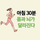 아침운동, 다이어트와 집중력 모두 잡는다! 과학적으로 입증된 놀라운 효과