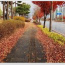 아중한빛안과의원 이미지